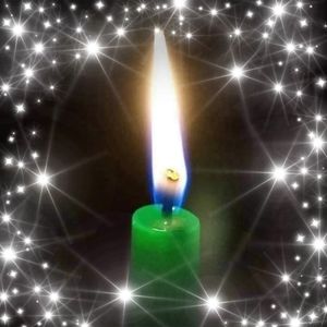 Meet your Posher, Suzanne